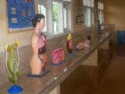 Fasilitas - Lab Biologi