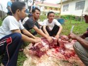 Kegiatan - Qurban
